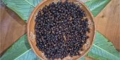 Hormigas comestibles y dos maneras de  aprovechar su sabor esta temporada
