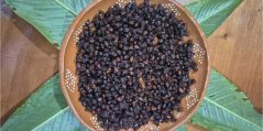 Hormigas comestibles y dos maneras de  aprovechar su sabor esta temporada