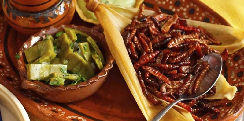 ¿Ya le agradeciste a Tláloc? Hay Ingredientes que se consideran comida de lluvia