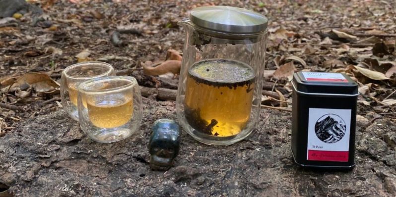 Los baños de bosque o shinrin-yoku, una práctiva que va mejor con té