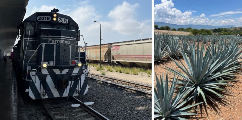 Tequila Express: La mejor manera de aprender sobre tequila mientras viajas en tren