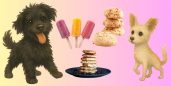Recetas de snacks que puedes preparar para comer tú y tu perrito