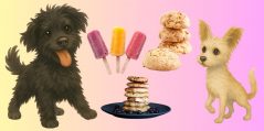 Recetas de snacks que puedes preparar para comer tú y tu perrito
