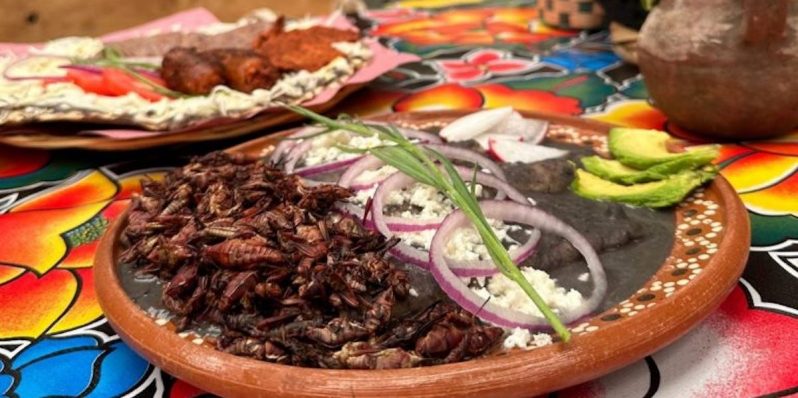 Guelaguetza en CdMx: Los restaurantes de comida oaxaqueña mejor rankeados de Google