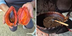 ¿Mole de hueso de mamey? ¡Sí! Es el mole de pixtle, originario de Puebla