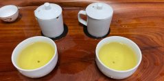 Milk Oolong: Cómo identificar un té auténtico (Jin Xuan) de uno falso