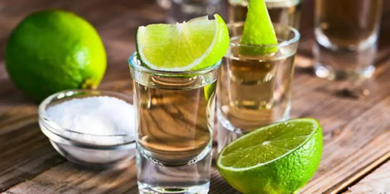 Conoce las diferencias entre Mezcal, tequila y raicilla: el alma del agave mexicano